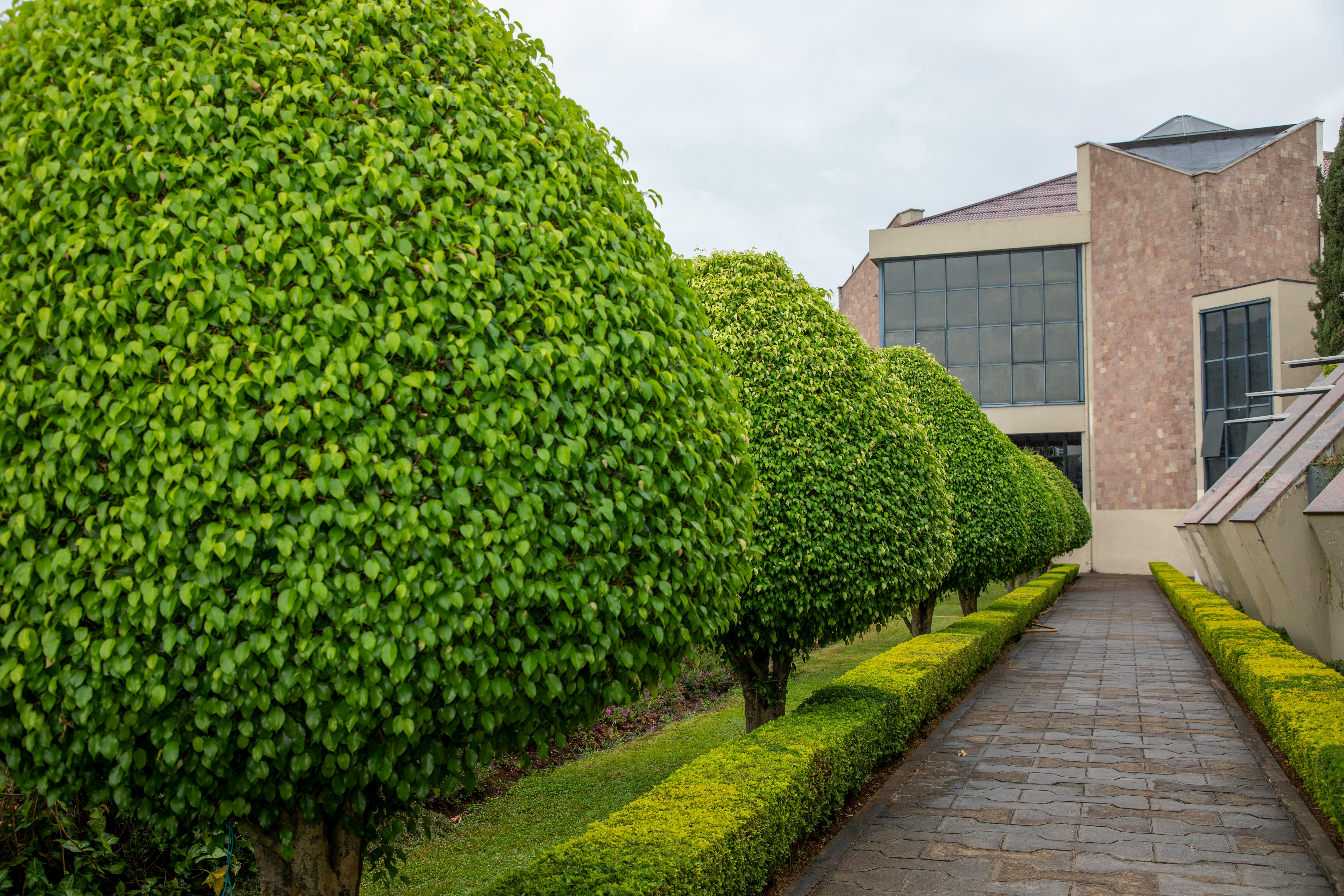 Commercial landscape maintenance crew servicing Denver office park
