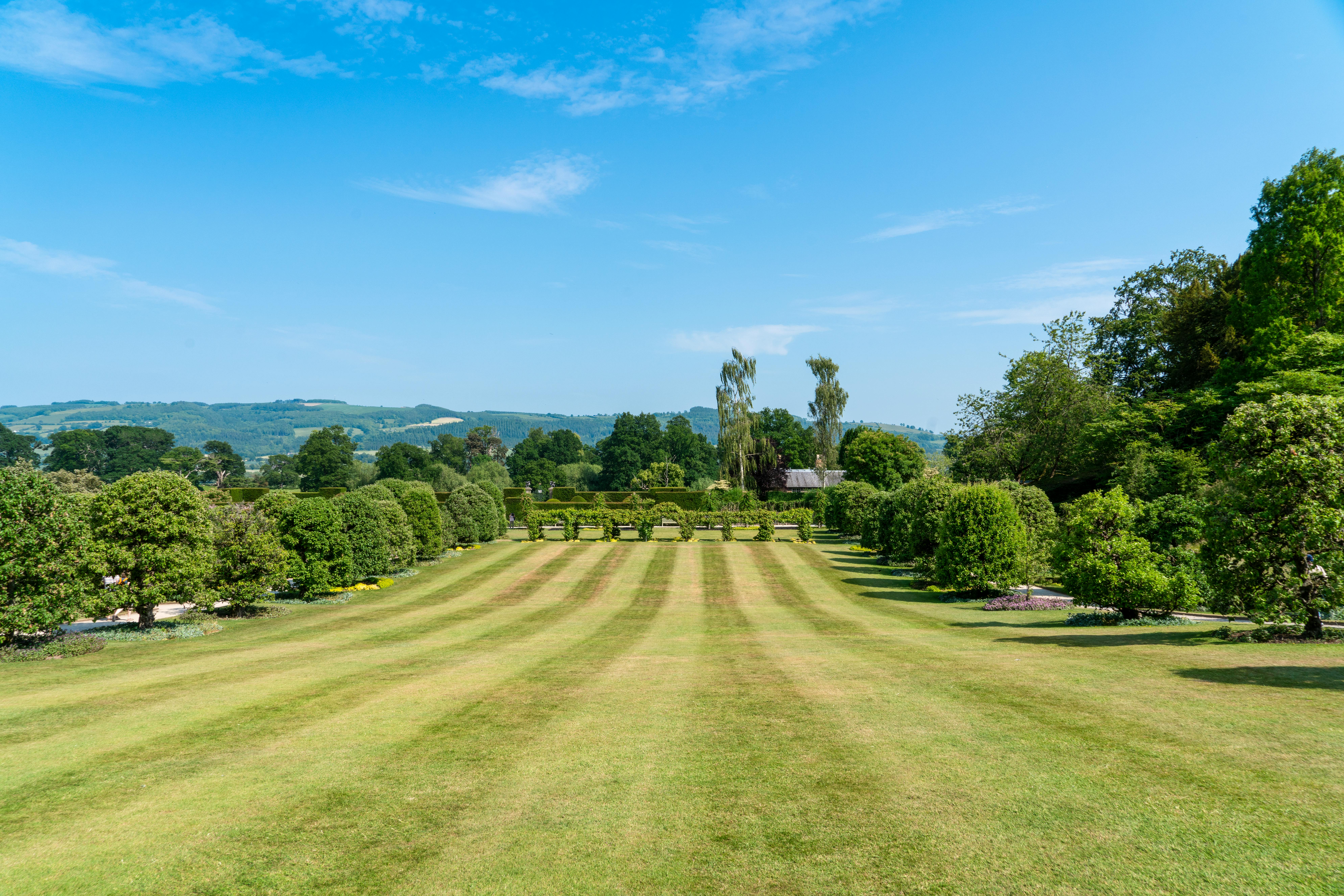 Professional lawn care and mowing results in Denver Colorado