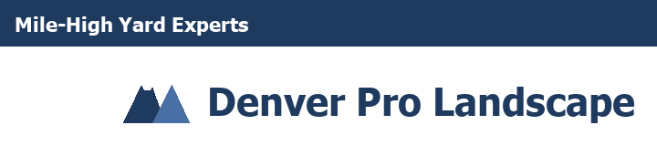 Denver Pro Landscape