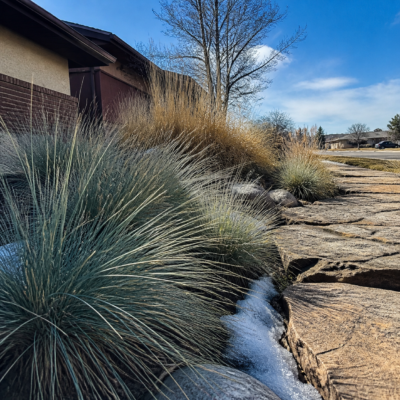 Denver Pro Landscape Editorial Team, founder of Denver Pro Landscape